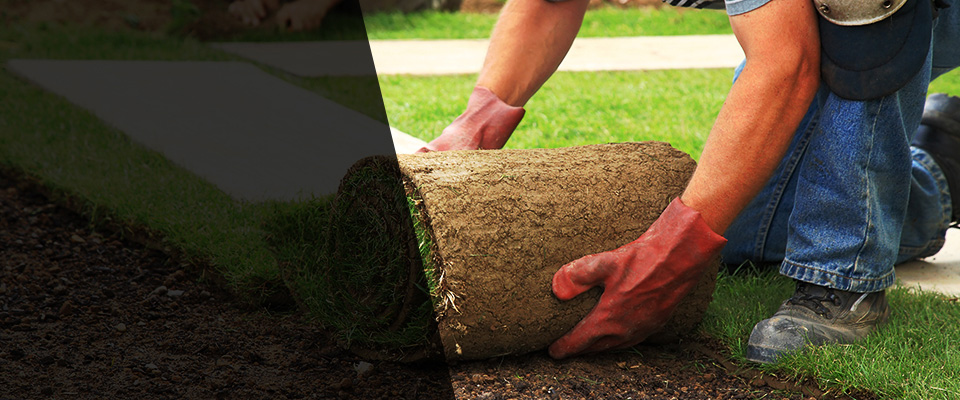 La Porte City Landscapers